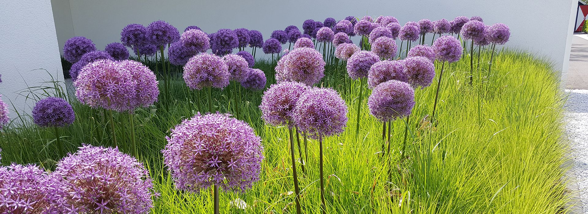 Florall Hoveniers`