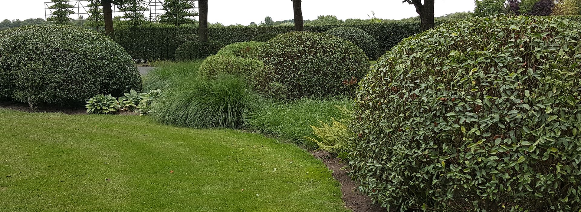 Florall Hoveniers`